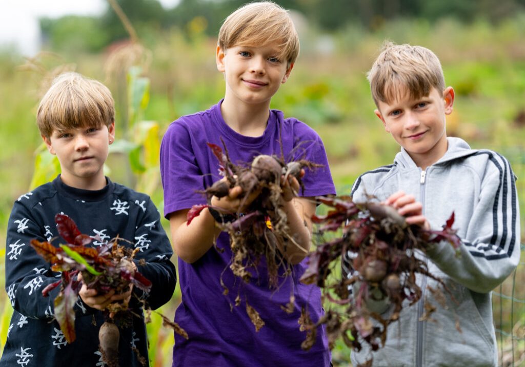 Plant et frø-Skårhøj-04103